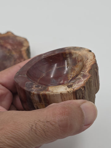 Rare Set of 3 Vintage Polished Petrified Wood Ashtrays / Catchall Bowls"